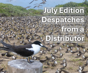 Dispatches from a Distributor July 2026